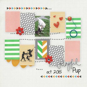 tlp-dec-2015-ss