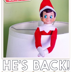 he's back!