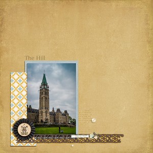 The Hill