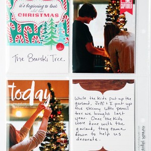Capturing Christmas:  The Bearski Tree
