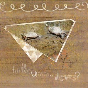 Turtle Doves - 12 Days of AJ - Day 2