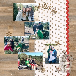 Christmas tree hunt 2
