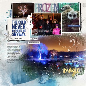 Light Up The Zoo