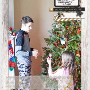 Hanging Ornaments