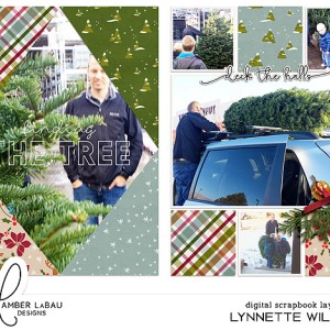finding the tree
