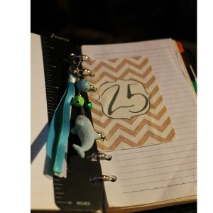 FiloFax Planner: 25 card