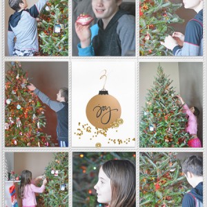 2015 DYD 12 12 Hanging Ornaments P2 600 250
