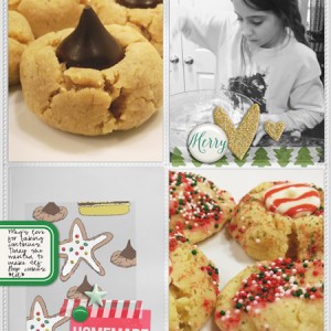 2015 DYD 12 13 Elf Poop Cookies 600 250