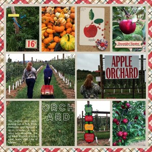 Apple Picking
