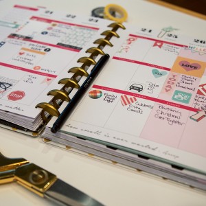 Mambi Planner with Fresh Start Planner Monthly Collab