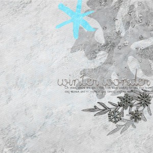 Winter Wonder