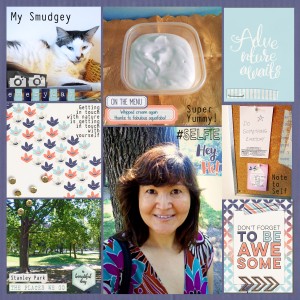 August 2015 Pocket Life