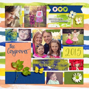 2015 Cover