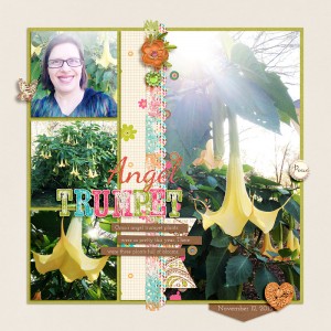 Angel-Trumpet-WEB