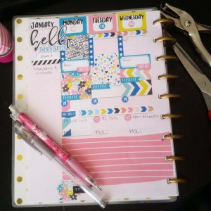 Plannerpic2