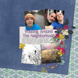 Slow Scrap: Walking Around The Neighborhood-Second Half of December