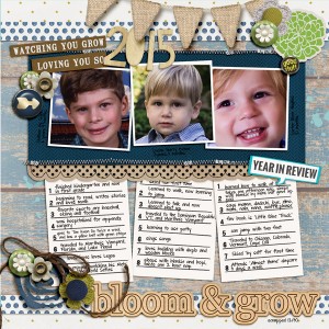 a year in review of my grandsons