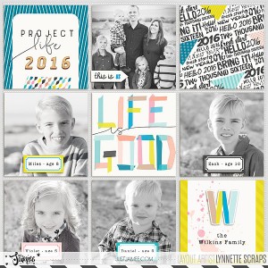 2016 project life cover