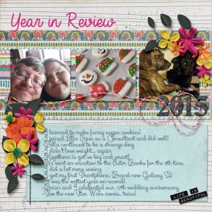 2015_yearinreviewsm