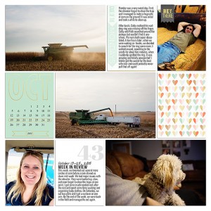 Project 2015- Week 43 (left)
