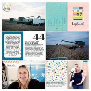 Project 2015- Week 44 (left)