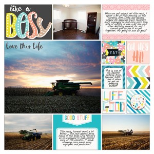 Project 2015- Week 44 (right)