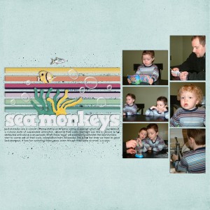 sea monkeys