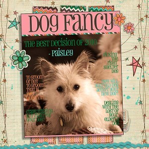 Dog Fancy
