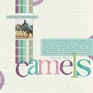 Racing camels