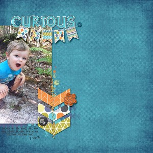 Curious2015Web