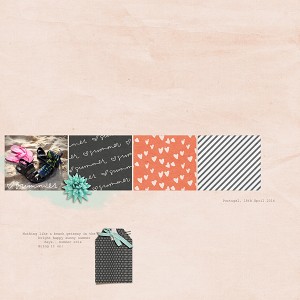 MOC1-Spring_Take-two