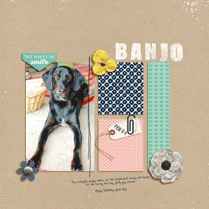 Banjo-(February)