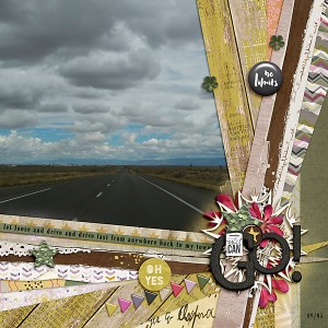 drive fast - no limits