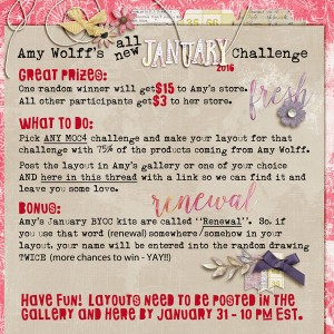 Amy Wolff's All New January 2016 Challenge