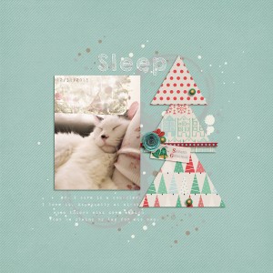 Sleep-WEB