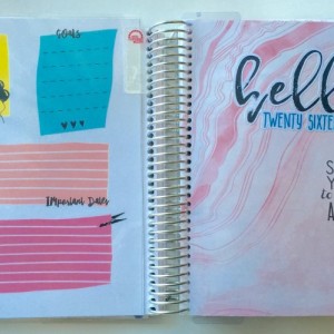 Planner Erin Condren spread 1