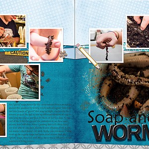 Soap and Worms