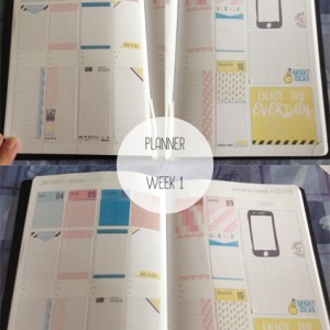 Planner 2016 - week 1
