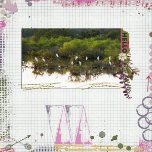 Egret-Committee-12-Days-of-AJ-Day-12
