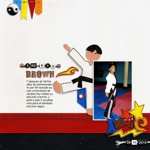 brown  belt