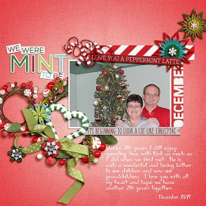 We-were-Mint-to-Be_DR_Dec-2014