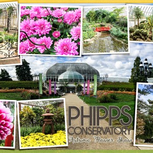 Phipps Conservatory Fall Flower Show