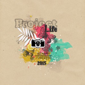 Project life 2015 : Cover - MOC4