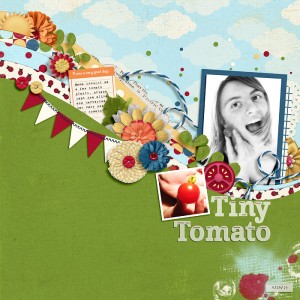 Tiny-Tomato-WEB