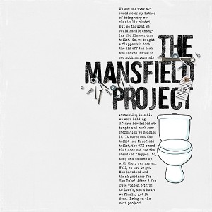 MOC 4 The Mansfield Project