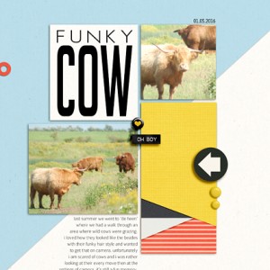 MOC 5 | Funky Cow