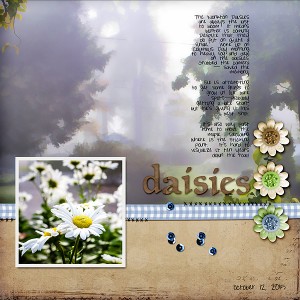 MOC4#5 - Daisies on a Foggy Morning