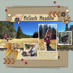 MOC#7 McGurk Meadow