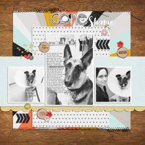 Cone Of Shame - MOC Jan. 7