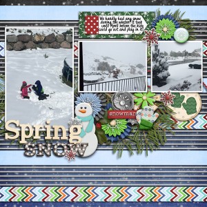 Spring Snow
